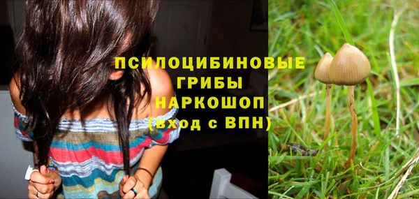 Альфа ПВП Коряжма