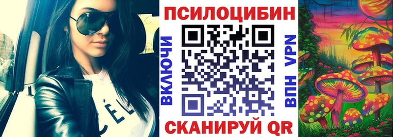 Псилоцибиновые грибы MAGIC MUSHROOMS  нарко площадка состав  Лосино-Петровский 